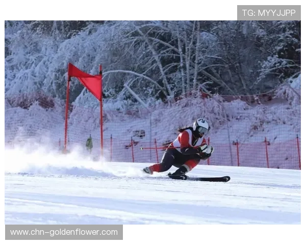 全国青少年滑雪赛参赛人数创新高，北疆基地启用