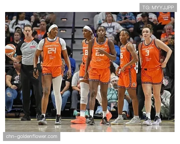 一名前WNBA球队股东因财务不当行为被联盟处以罚款并暂停参与资格